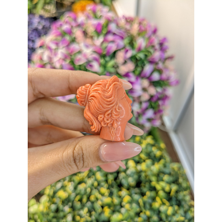 63.75 Ct. Coral from Australia