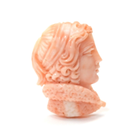 19.31 Ct. Coral from Australia Video