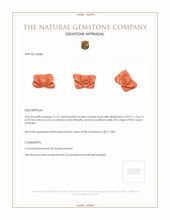 11.41 Ct. Coral from Australia Appraisal
