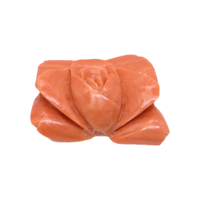 11.41 Ct. Coral from Australia Video
