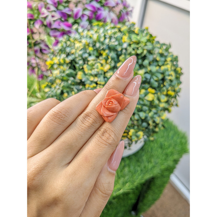 11.41 Ct. Coral from Australia