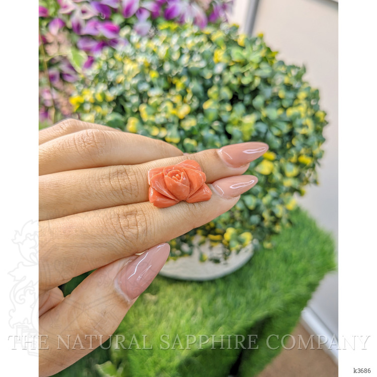 11.41 Ct. Coral from Australia