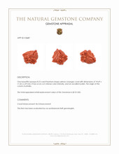 8.23 Ct. Salmon (Orange) Coral from Australia Appraisal