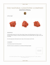 8.23 Ct. Coral from Australia Appraisal