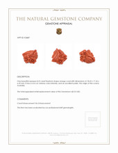 8.23 Ct. Coral from Australia Appraisal