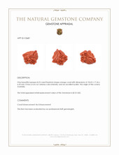 8.23 Ct. Coral from Australia Appraisal