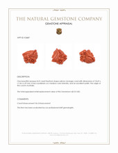 8.23 Ct. Salmon (Orange) Coral from Australia Appraisal