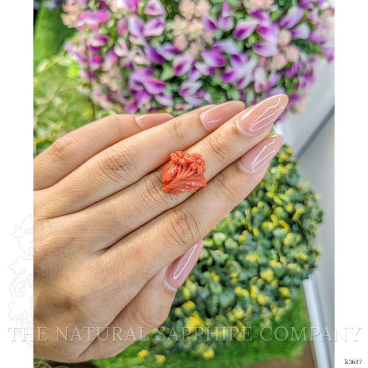 8.23 Ct. Coral from Australia