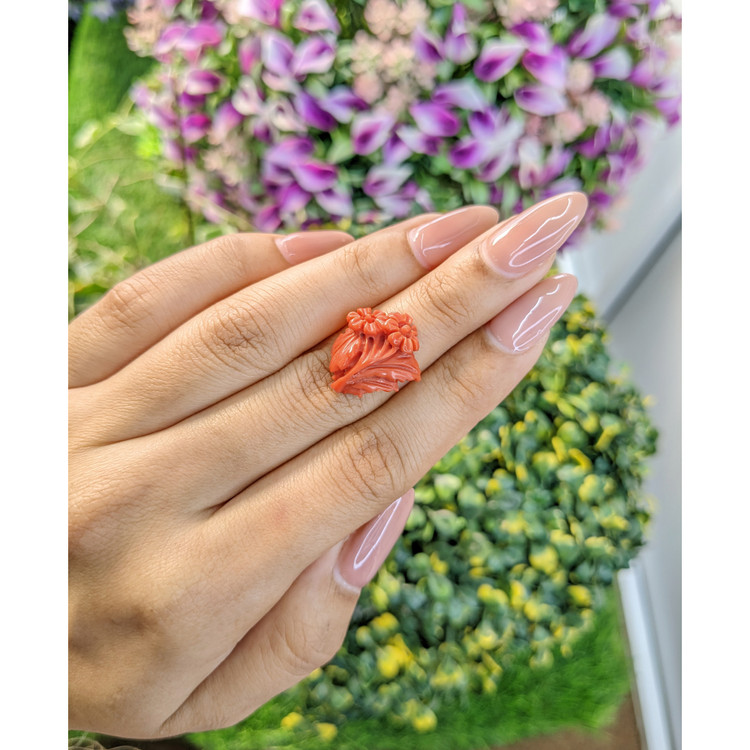 8.23 Ct. Coral from Australia