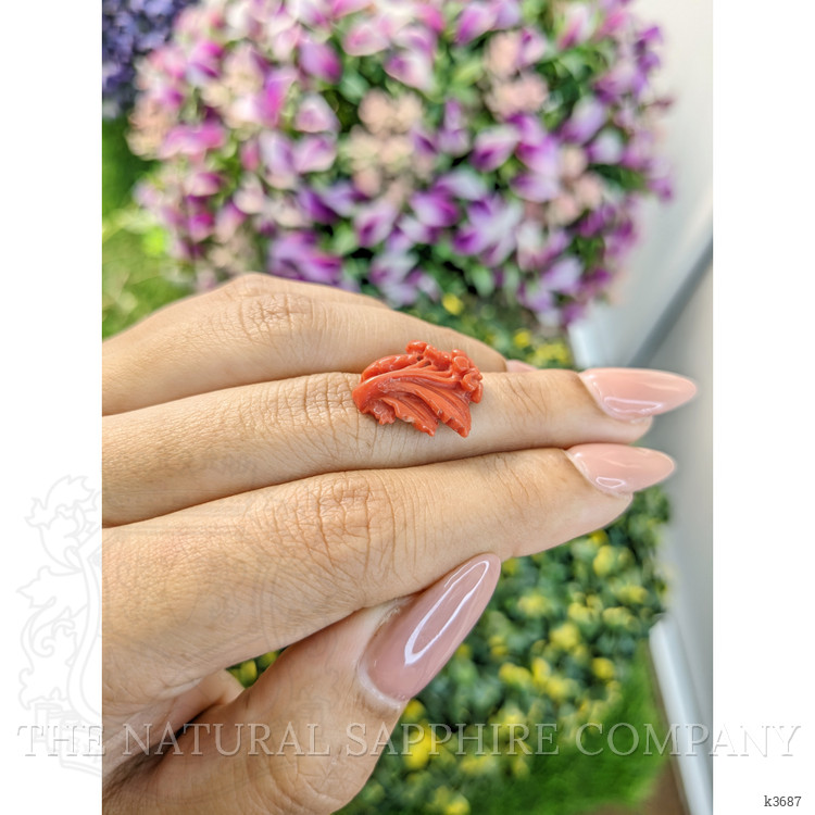 8.23 Ct. Coral from Australia