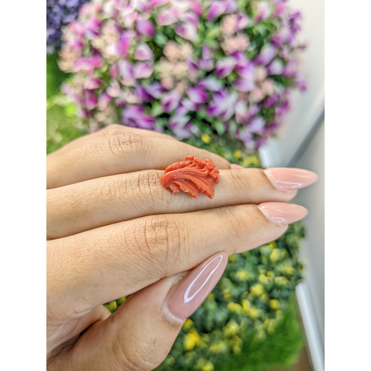 8.23 Ct. Coral from Australia