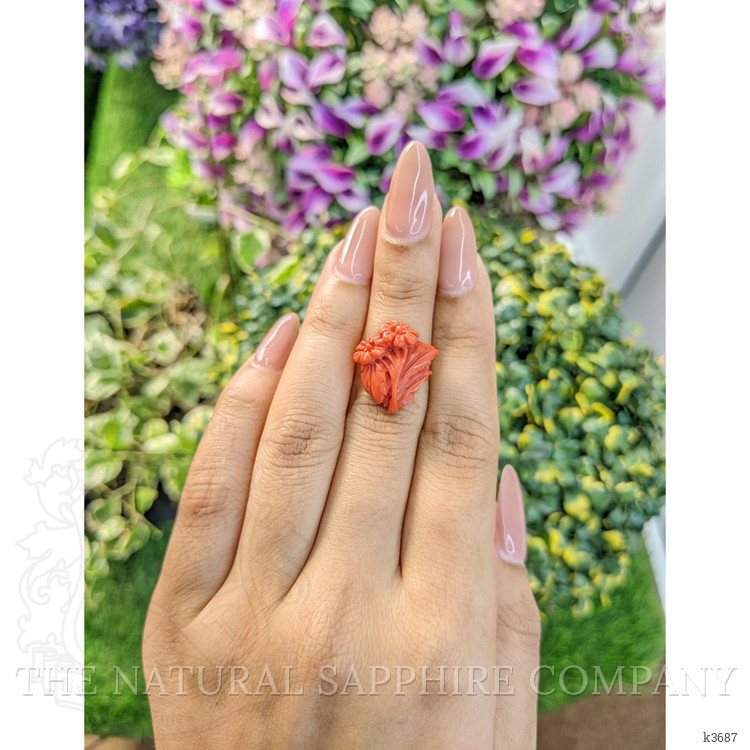 8.23 Ct. Coral from Australia