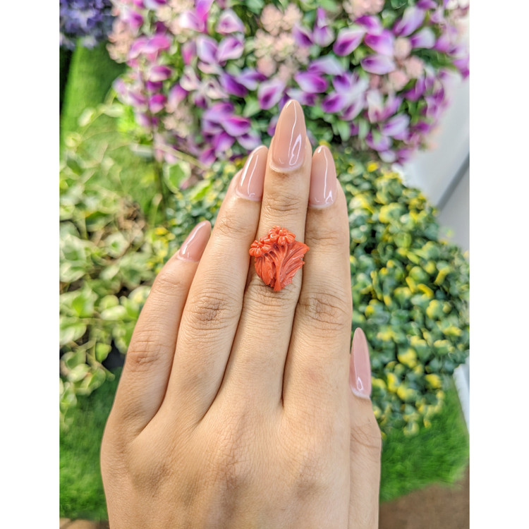 8.23 Ct. Coral from Australia
