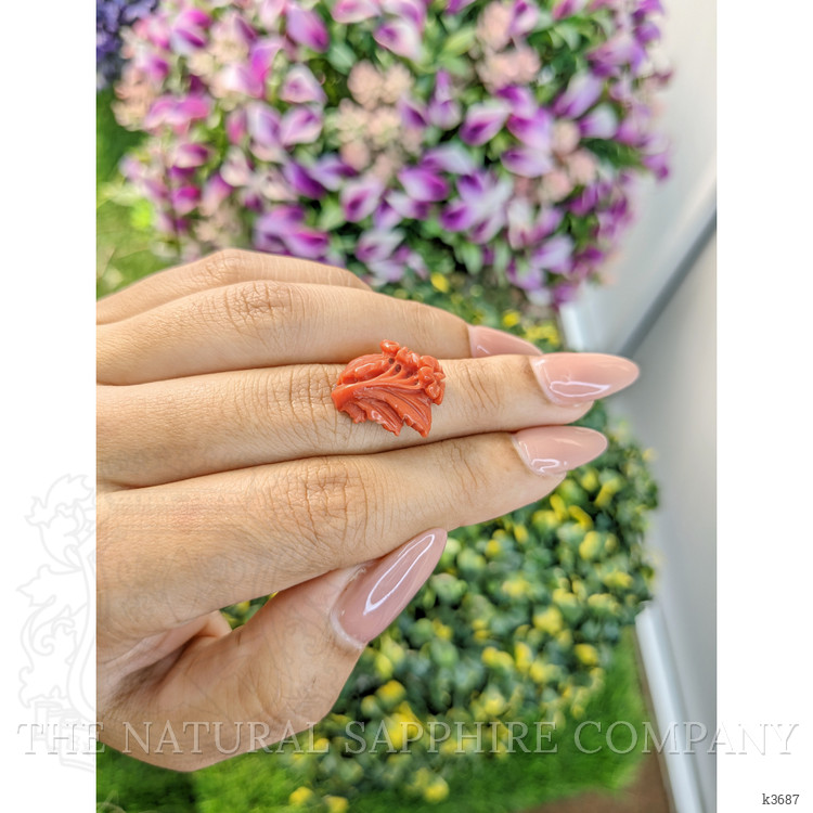 8.23 Ct. Coral from Australia