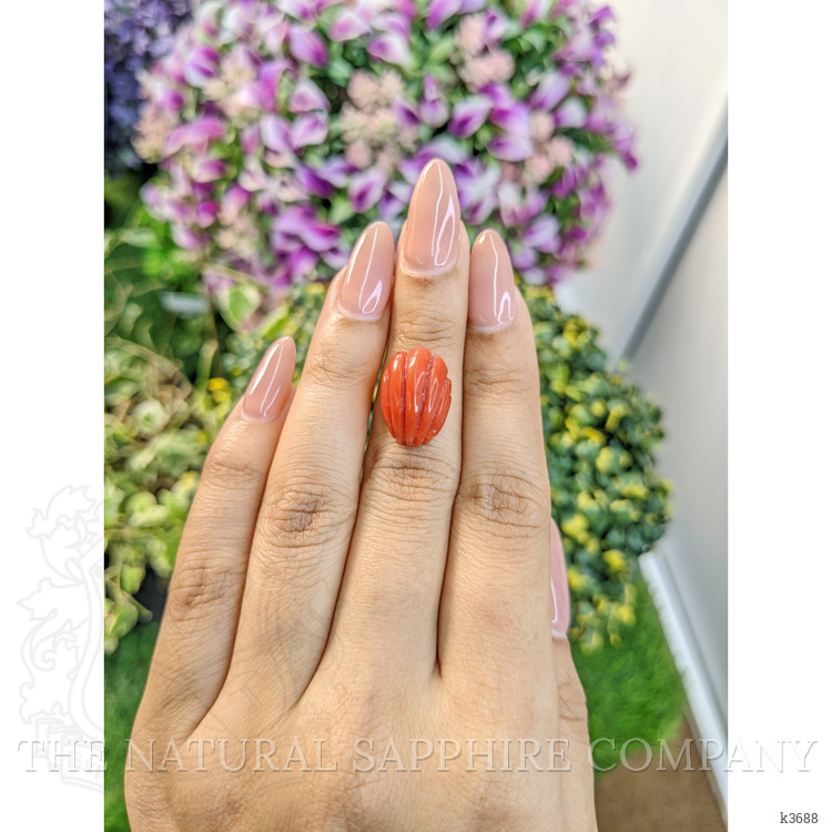 10.71 Ct. Coral from Australia