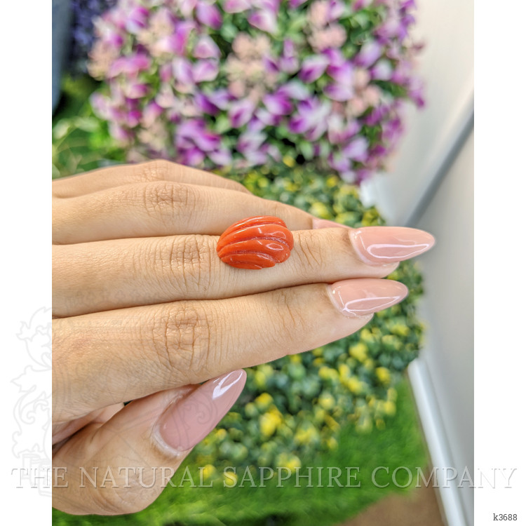 10.71 Ct. Coral from Australia