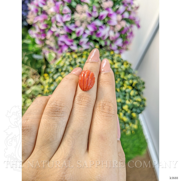 10.71 Ct. Coral from Australia