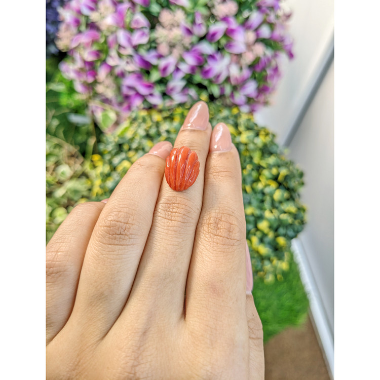 10.71 Ct. Coral from Australia