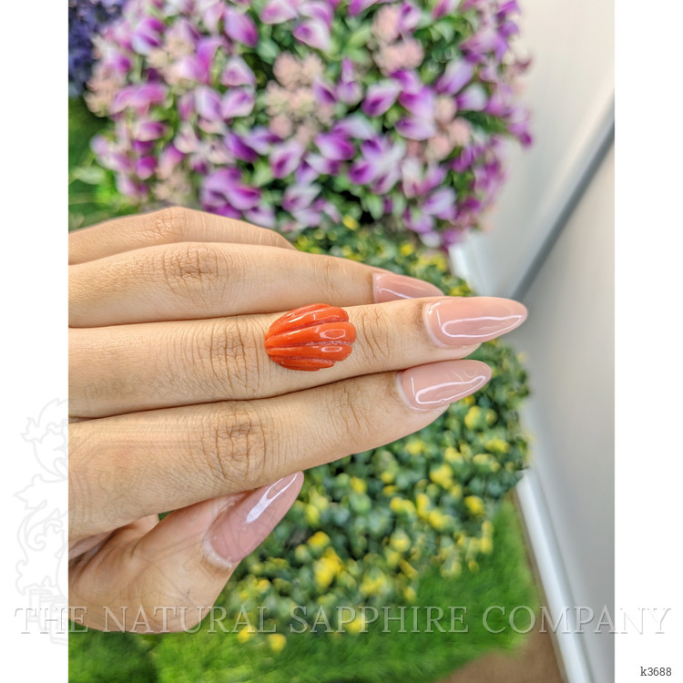 10.71 Ct. Coral from Australia