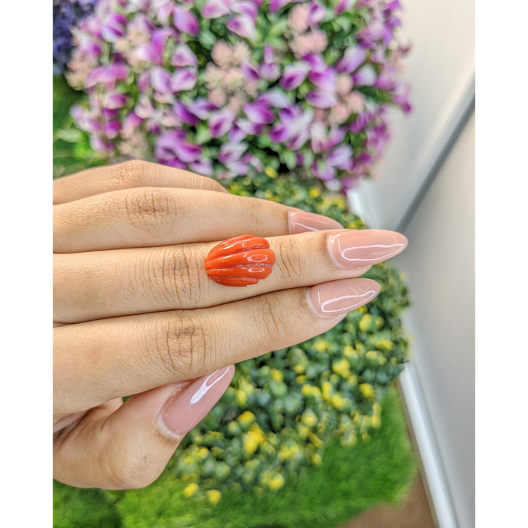 10.71 Ct. Coral from Australia