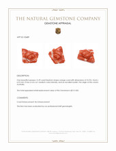 13.29 Ct. Coral from Australia Appraisal