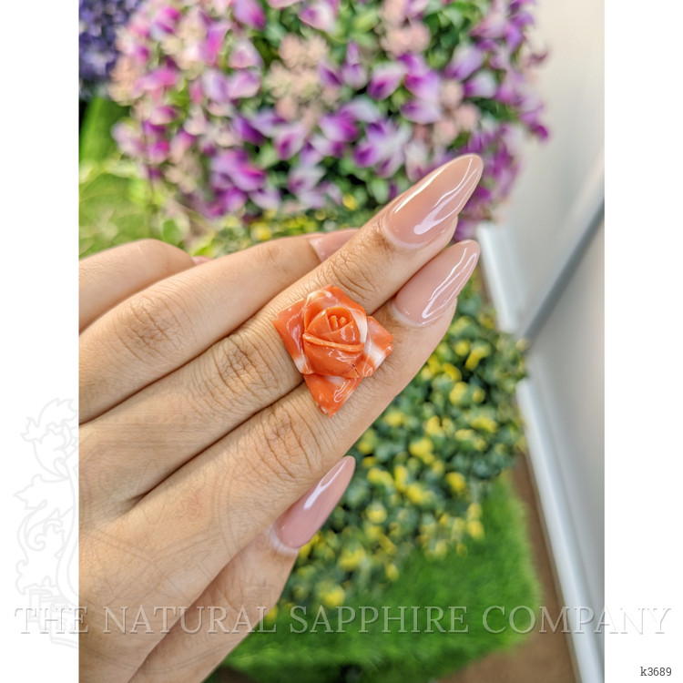 13.29 Ct. Coral from Australia