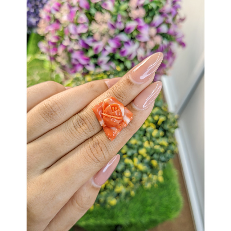 13.29 Ct. Coral from Australia