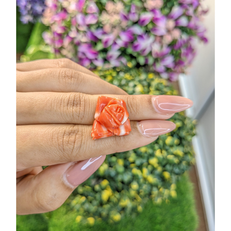 13.29 Ct. Coral from Australia