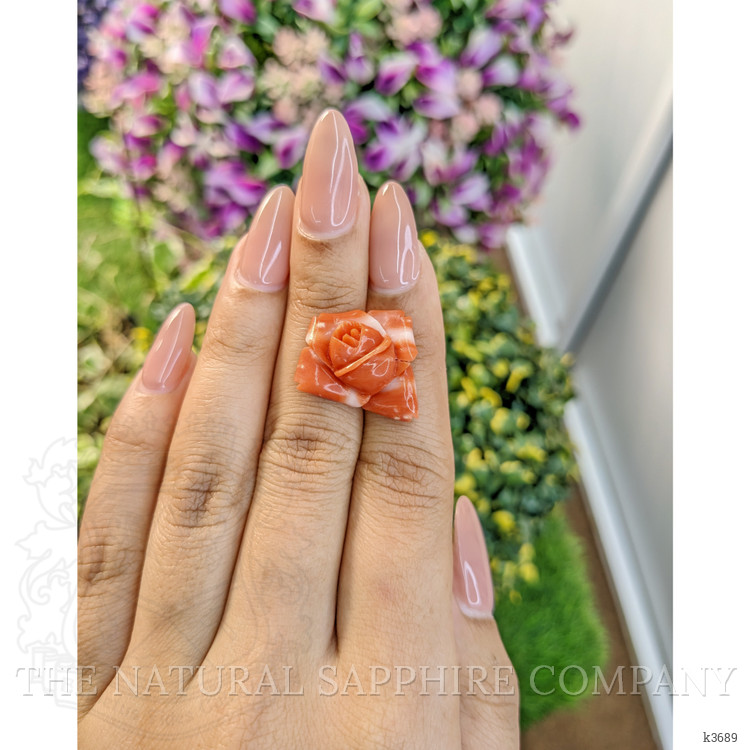 13.29 Ct. Coral from Australia