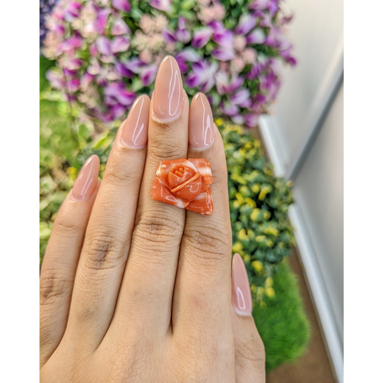 13.29 Ct. Coral from Australia