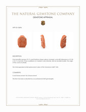 33.12 Ct. Salmon (Orange) Coral from Australia Appraisal