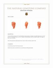 44.79 Ct. Salmon (Orange) Coral from Australia Appraisal