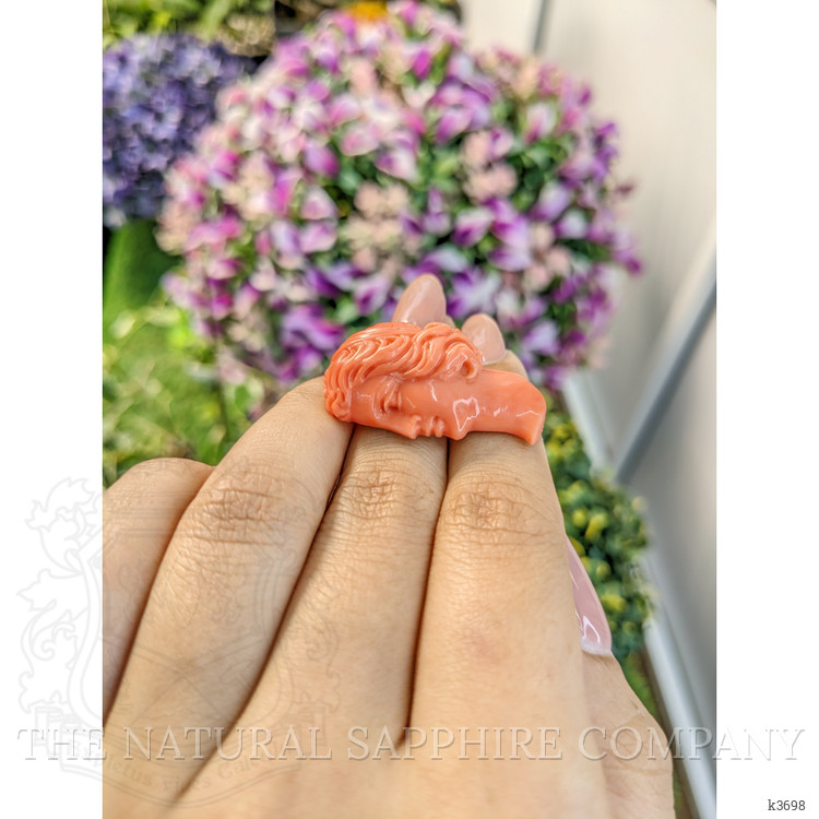 44.79 Ct. Coral from Australia