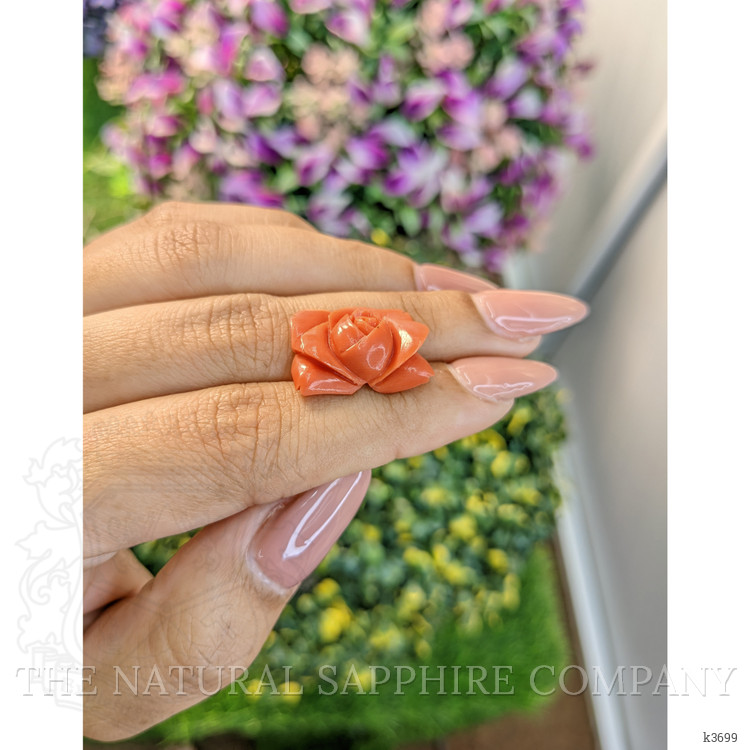 11.80 Ct. Coral from Australia