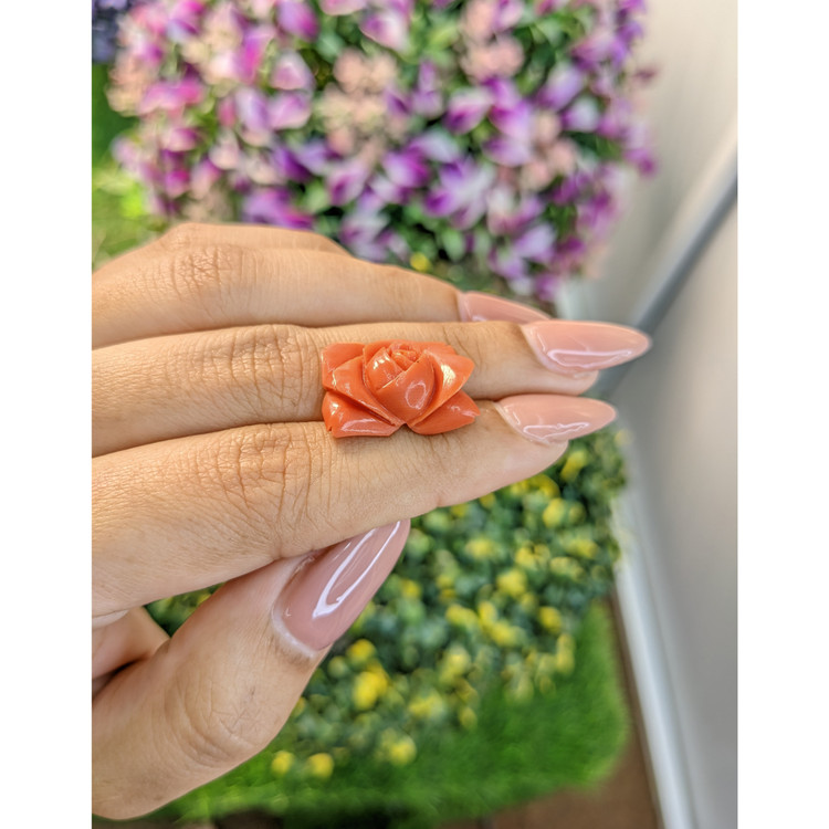 11.80 Ct. Coral from Australia