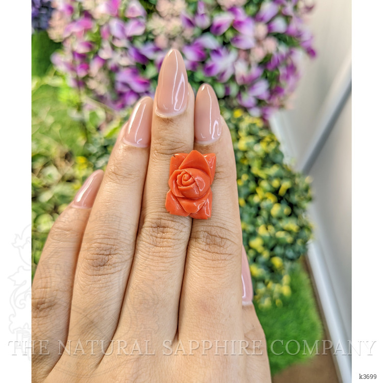 11.80 Ct. Coral from Australia