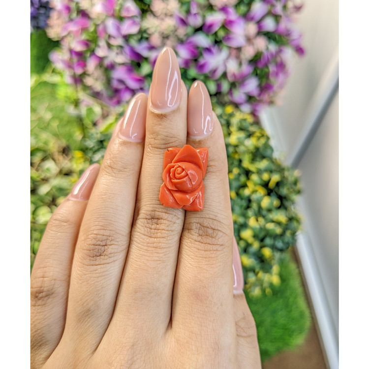 11.80 Ct. Coral from Australia