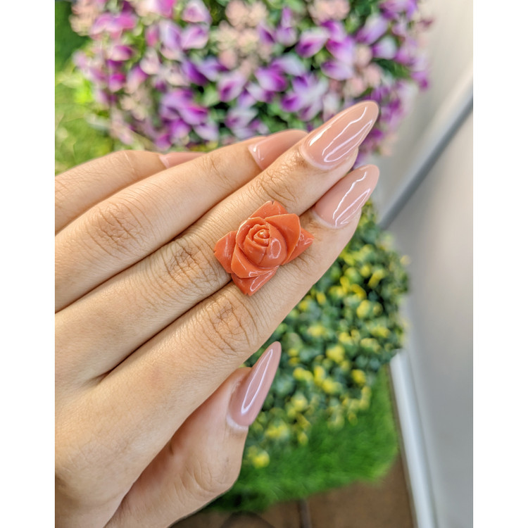 11.80 Ct. Coral from Australia