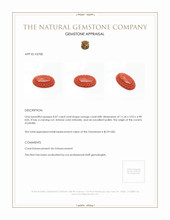 8.07 Ct. Salmon (Orange) Coral from Australia Appraisal
