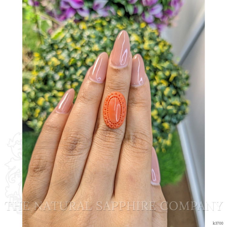 8.07 Ct. Coral from Australia