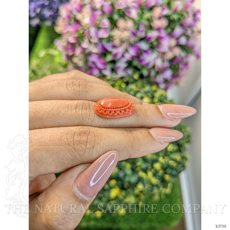 8.07 Ct. Coral from Australia