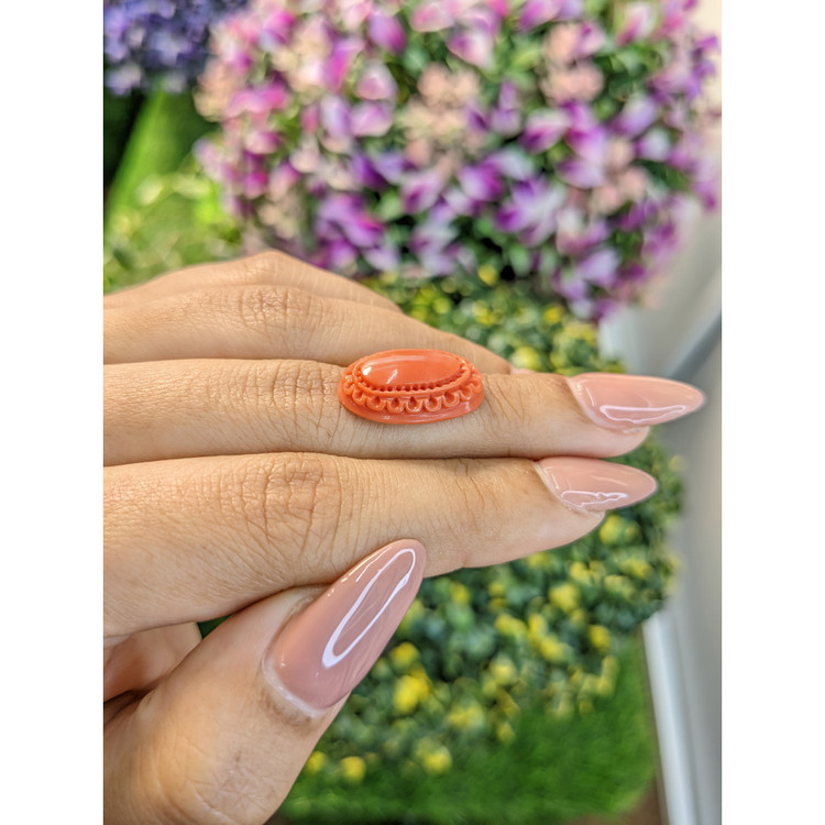 8.07 Ct. Coral from Australia