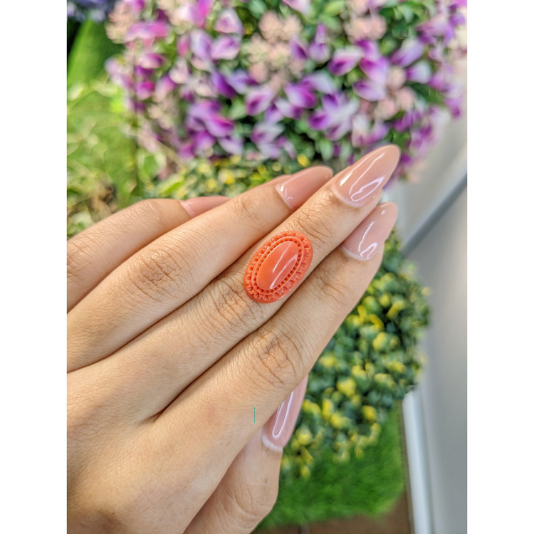 8.07 Ct. Coral from Australia
