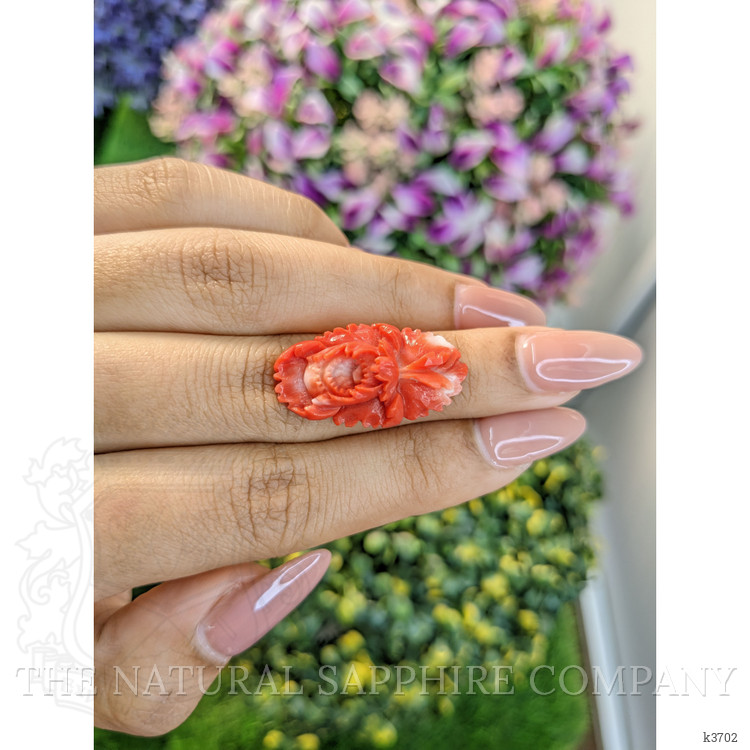 12.71 Ct. Coral from Australia