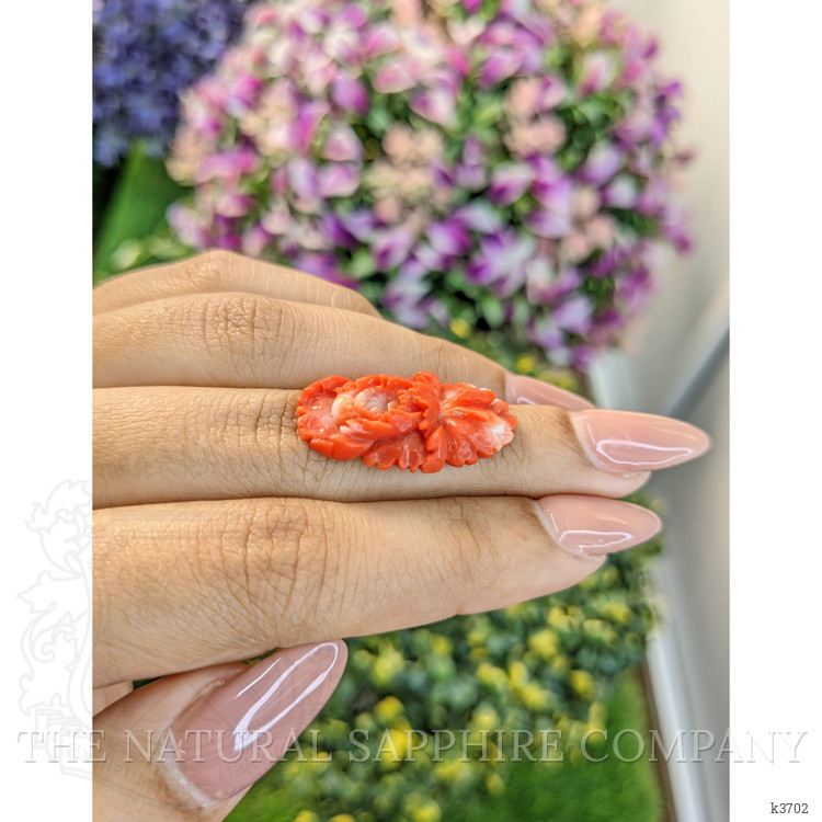 12.71 Ct. Coral from Australia