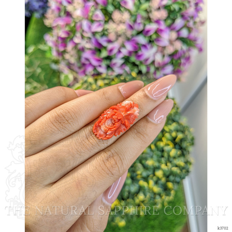 12.71 Ct. Coral from Australia