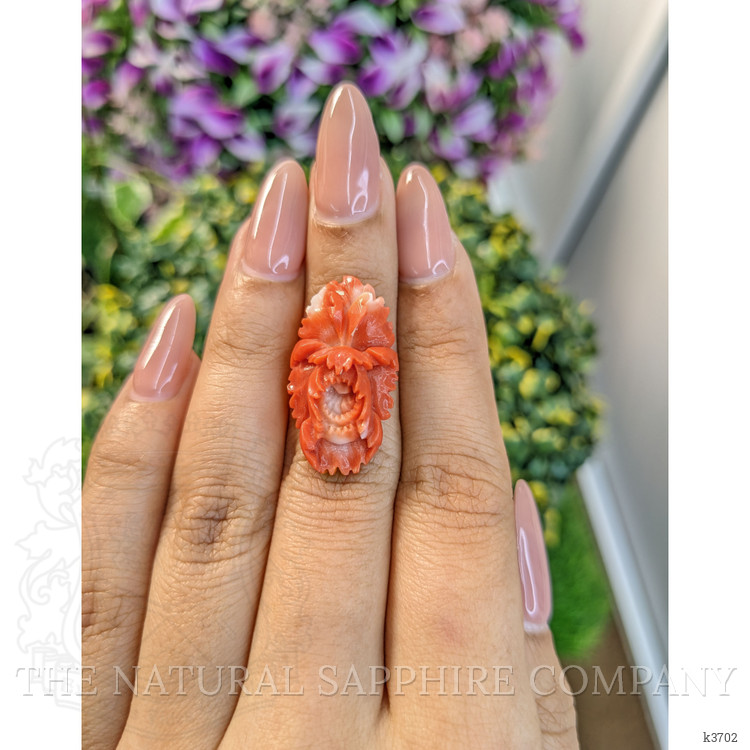 12.71 Ct. Coral from Australia