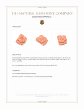 19.99 Ct. Coral from Australia Appraisal