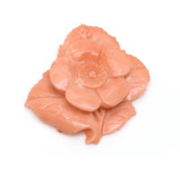 19.99 Ct. Coral from Australia Video