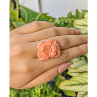 19.99 Ct. Coral from Australia Life Style